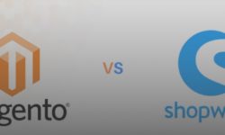 Shopware vs. Magento: Why Choose Shopware for Your Online Business