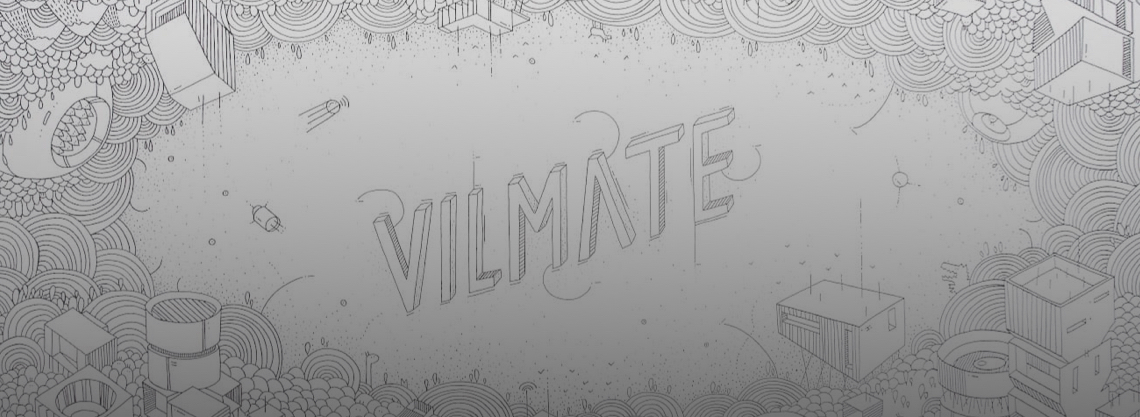 The Vilmate Internship Experience