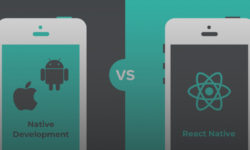 What to Choose: React Native vs. Native App Development