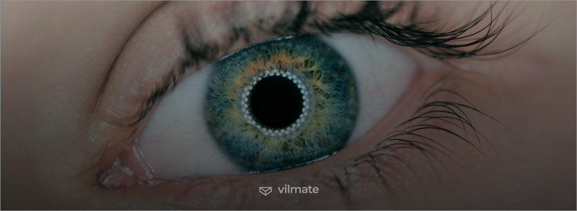 Non-contact Biometric Identification and Authentication | Vilmate