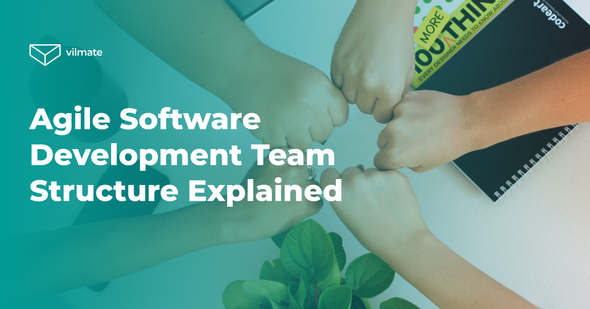 How to Build a Software Development Team Structure - GraffersID