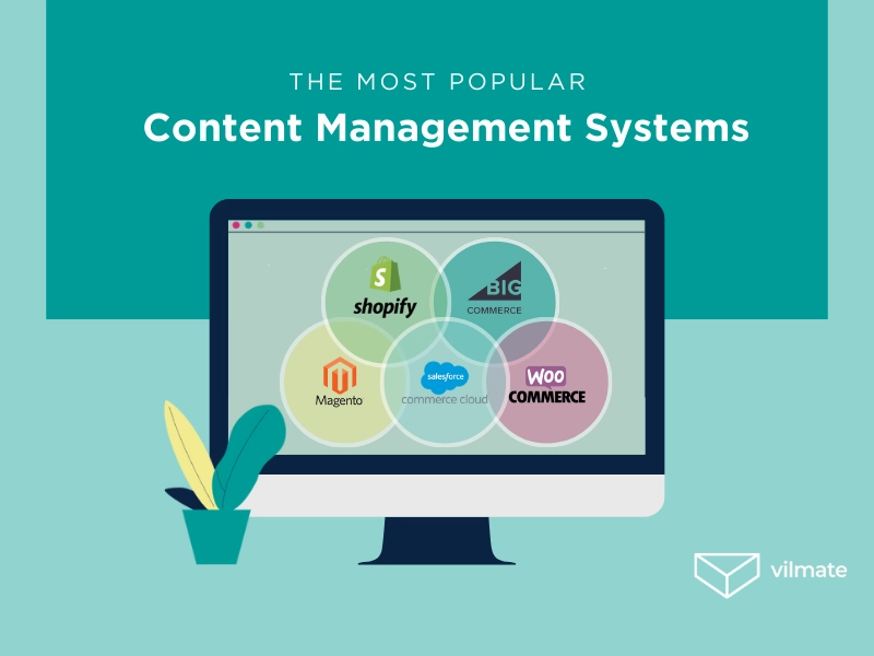 The most popular CMS