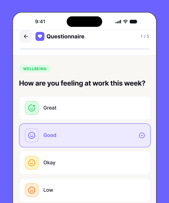 Questionnaire improvements